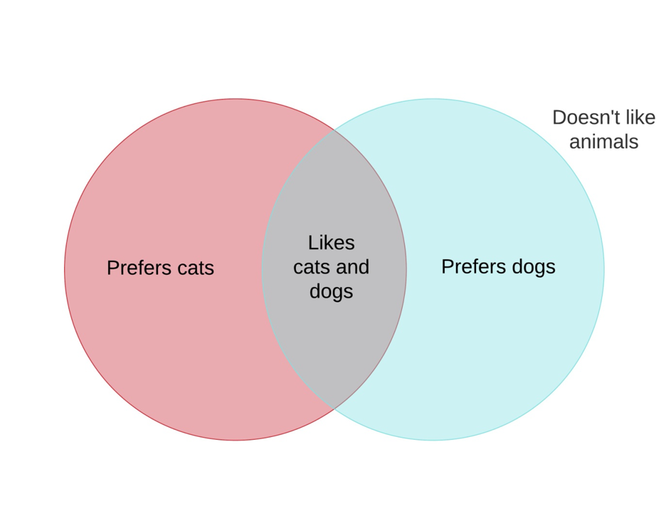 Are you cat or a dog person? – Discover